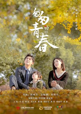 匆匆的青春 封面