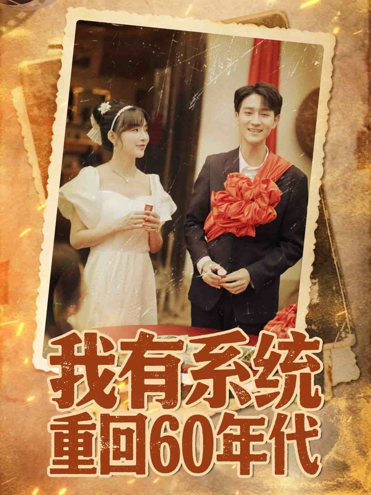 重回六零我靠系统娶媳妇 高清封面