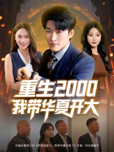 重生2000我带华夏开大 高清封面