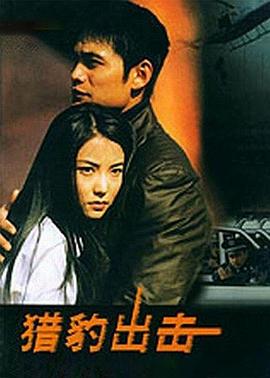 猎豹出击 封面