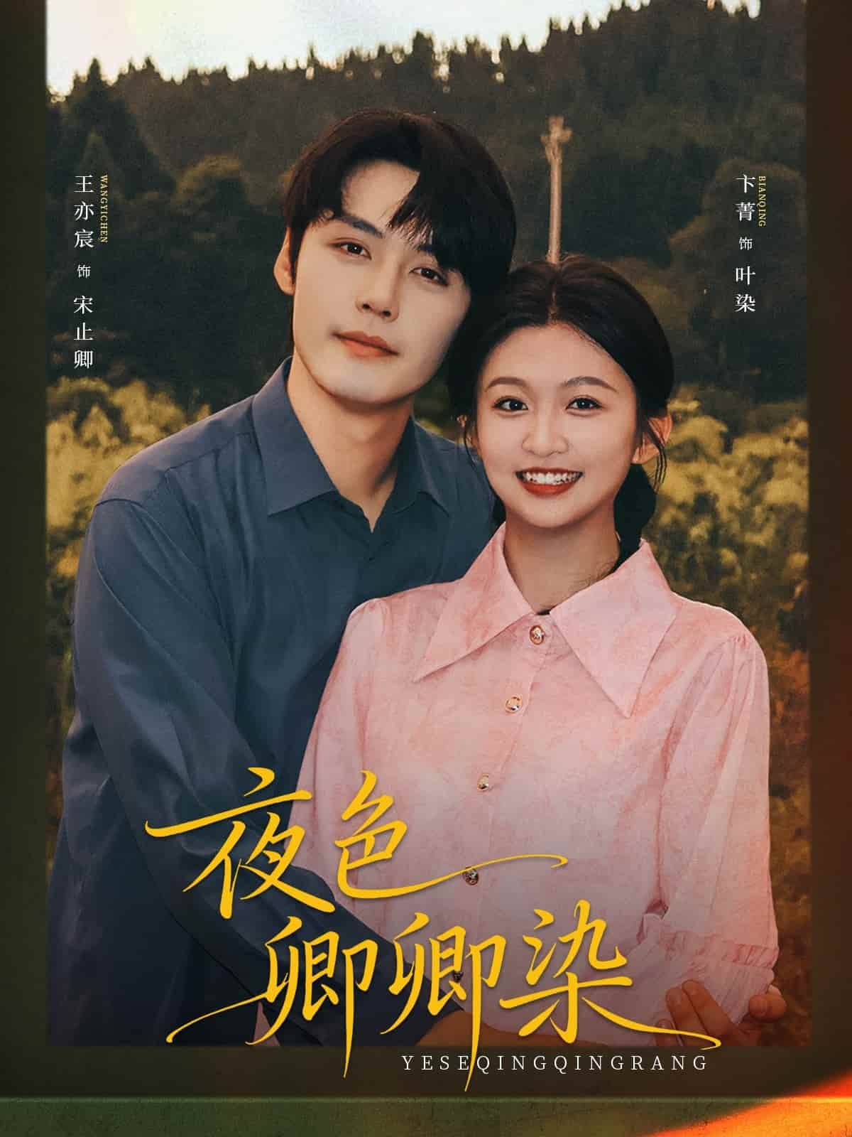 夜色卿卿染 高清封面