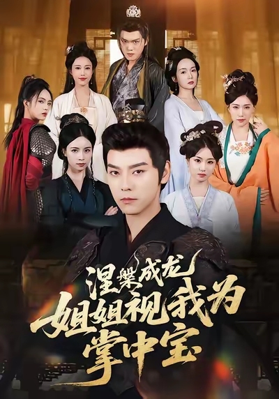 涅槃成龙姐姐视我为掌中宝 高清封面