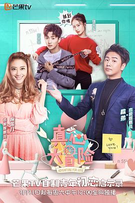 真心大冒险 封面