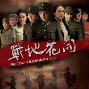 战地花开 封面