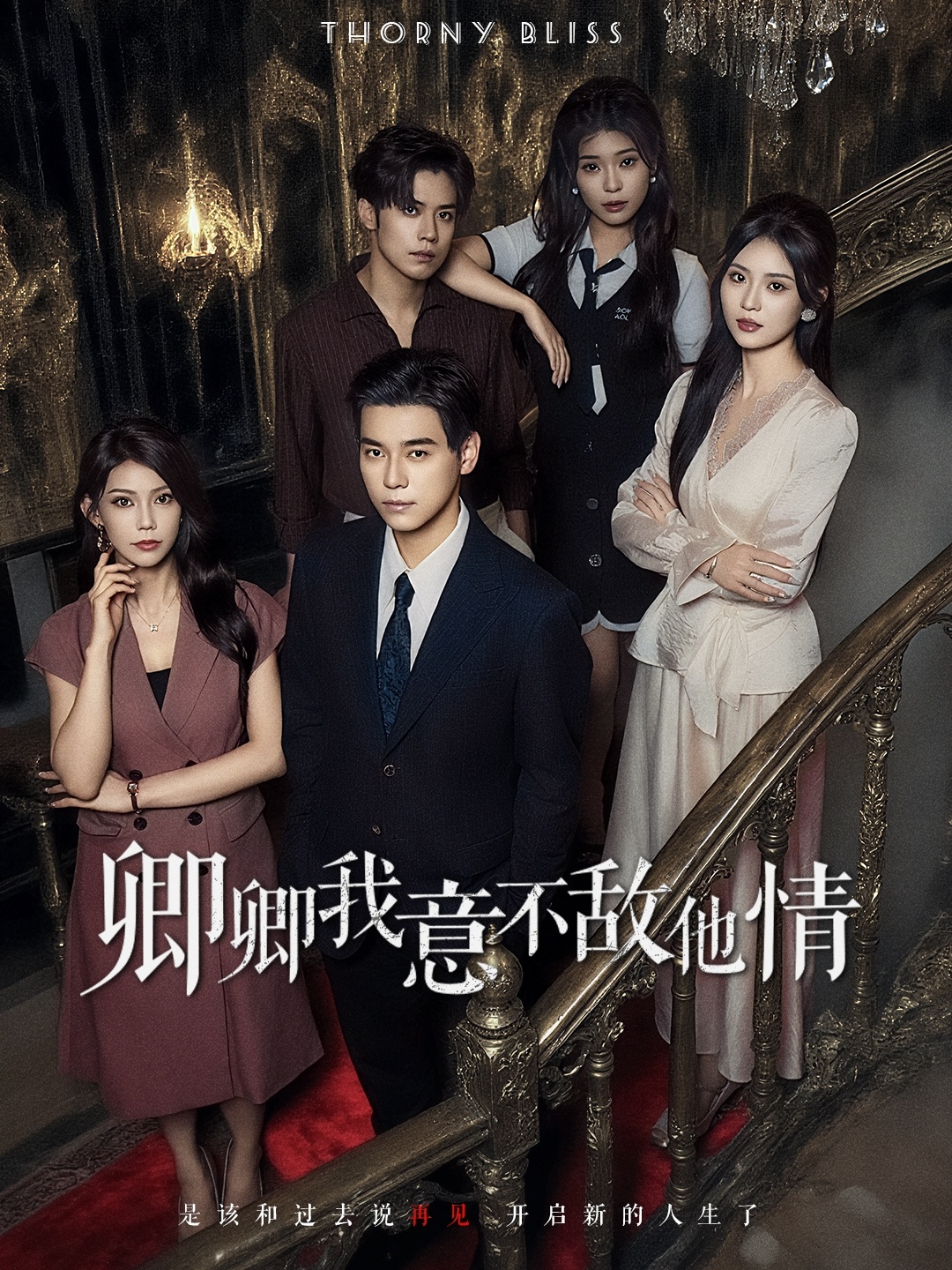 卿卿我意不敌他情 高清封面