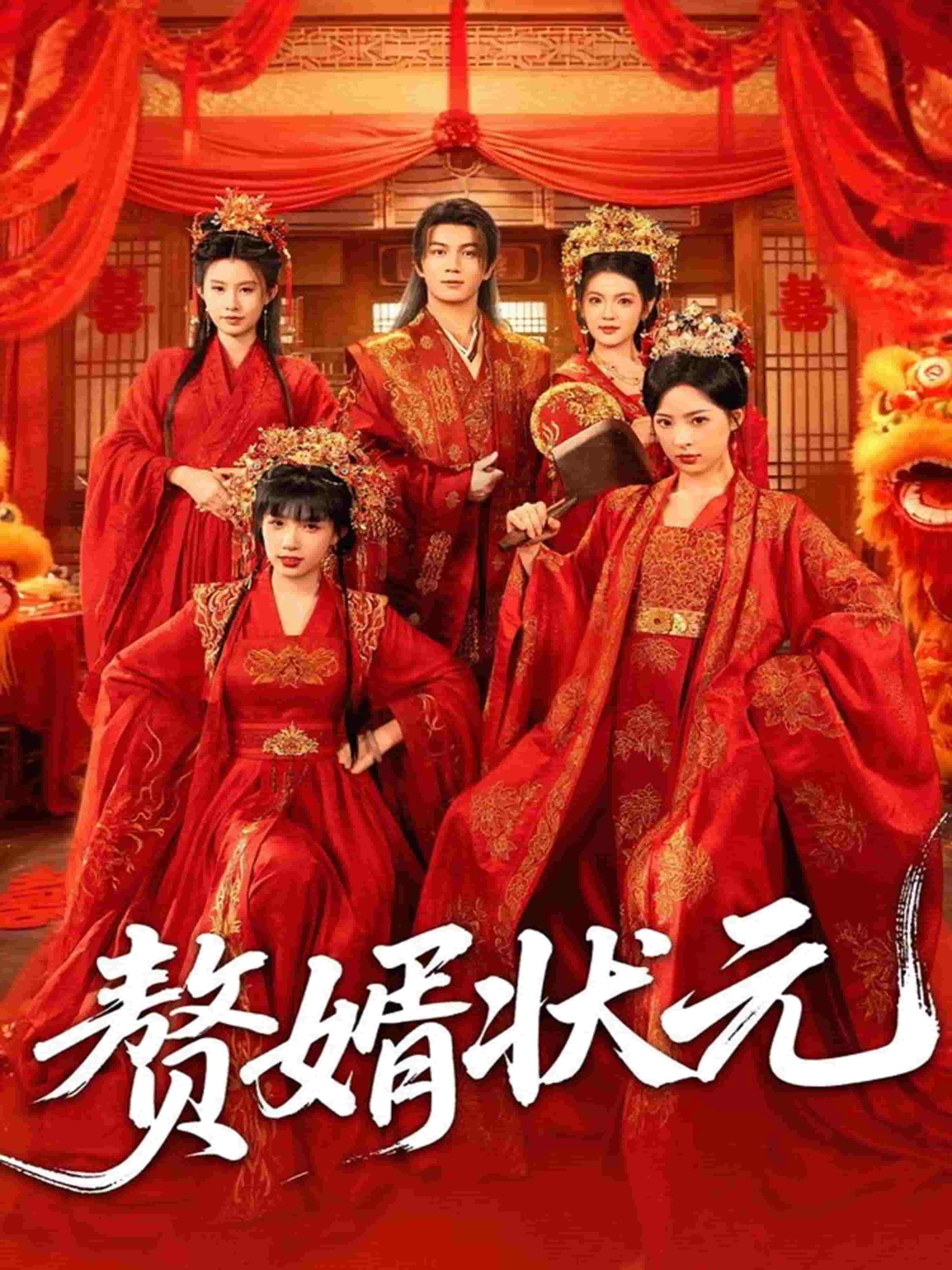 赘婿状元 封面