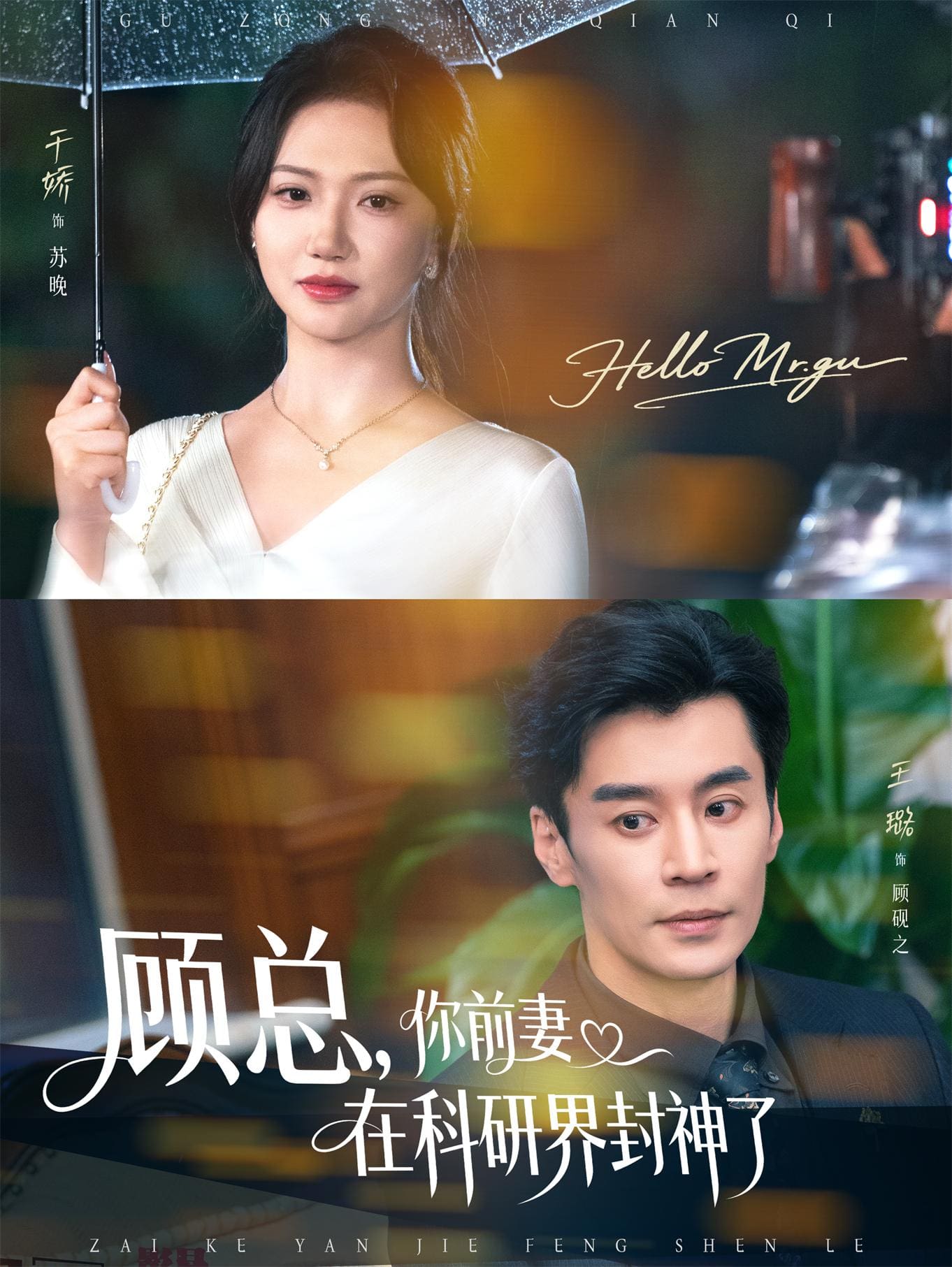 顾总你前妻在科研界封神了 高清封面