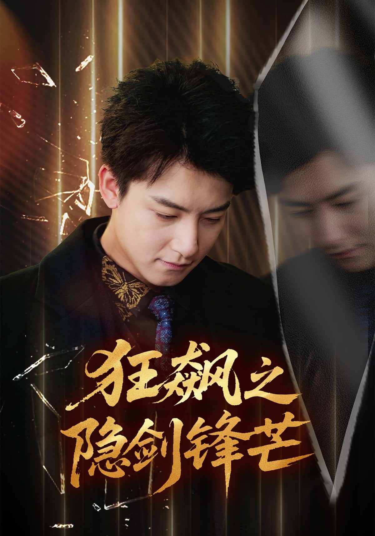 狂飙之隐剑锋芒 高清封面