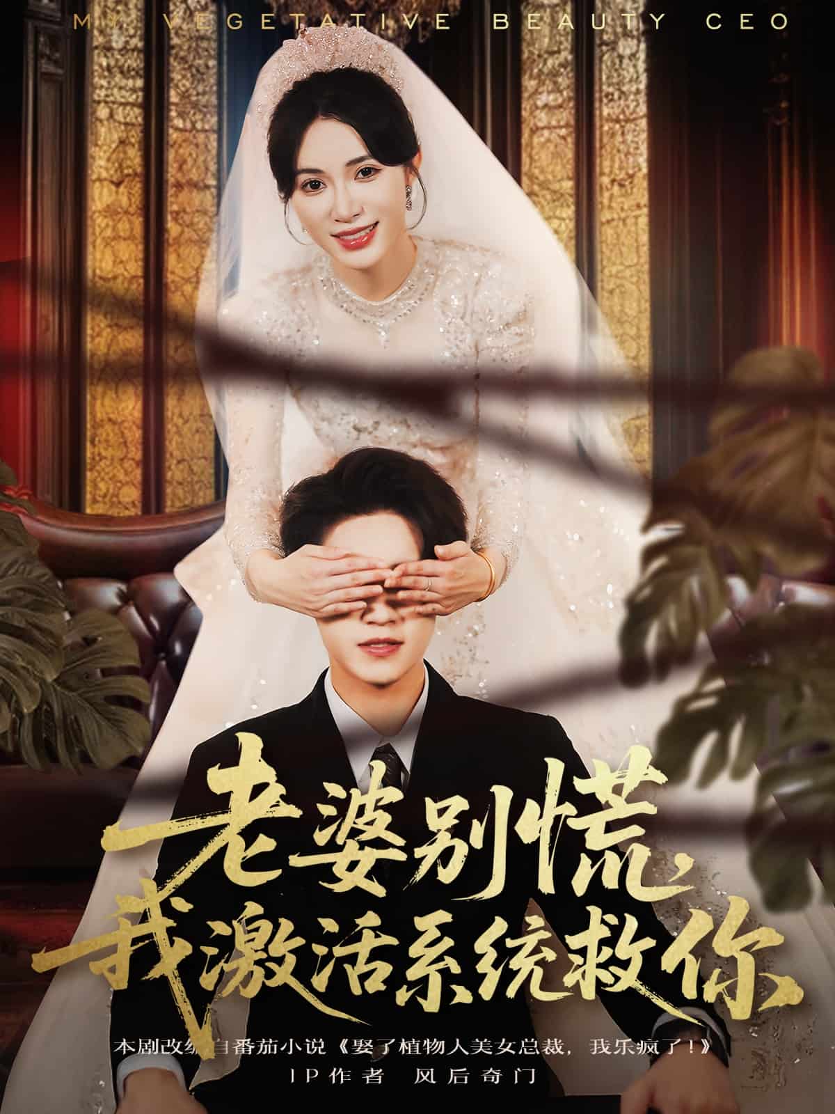 老婆别慌，我激活系统救你 高清封面