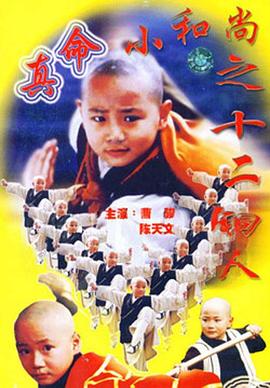 真命小和尚之十二铜人 高清封面