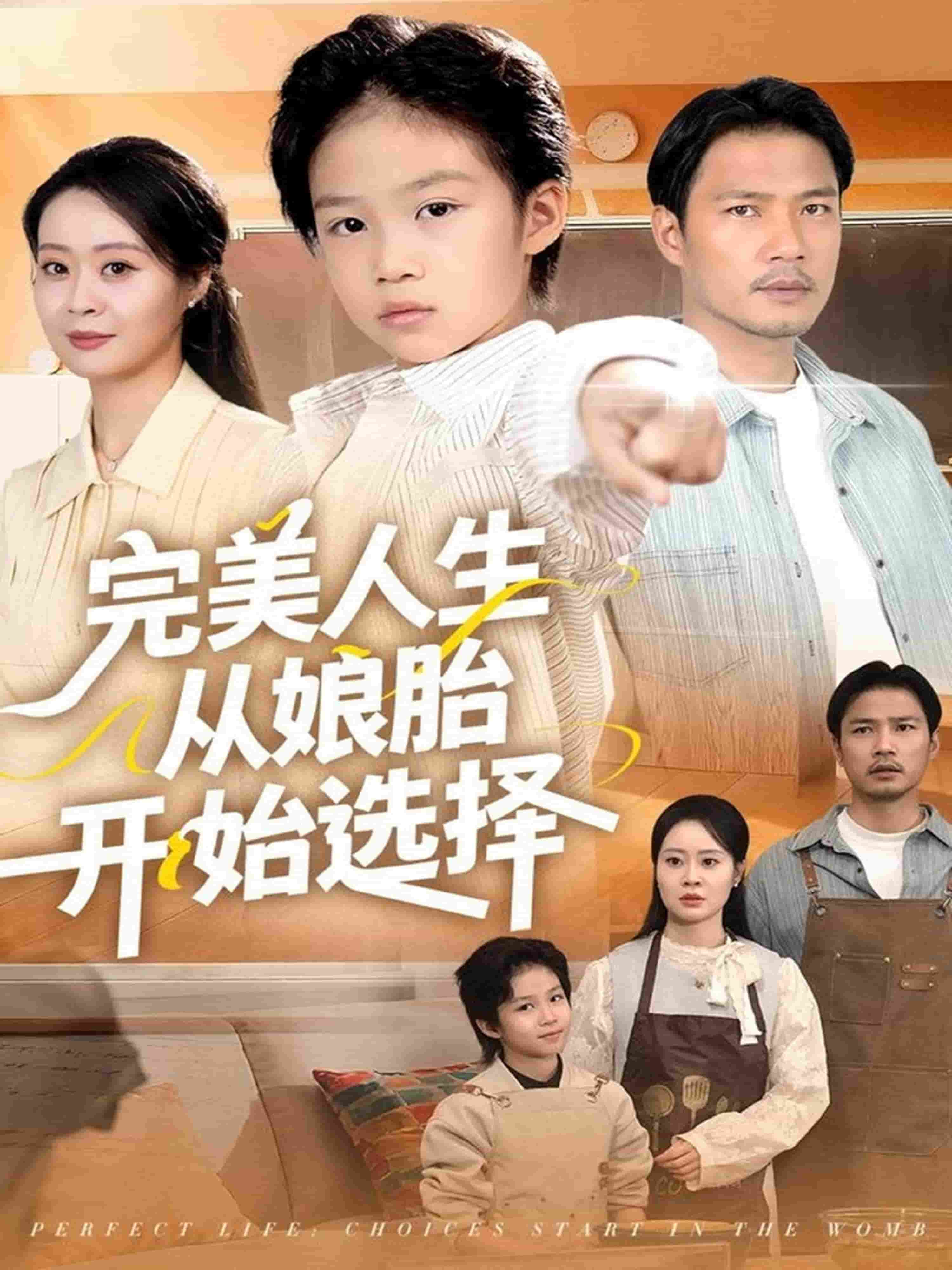 完美人生从娘胎开始选择 高清封面