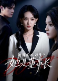 被甩的实习生？她是董事长 高清封面