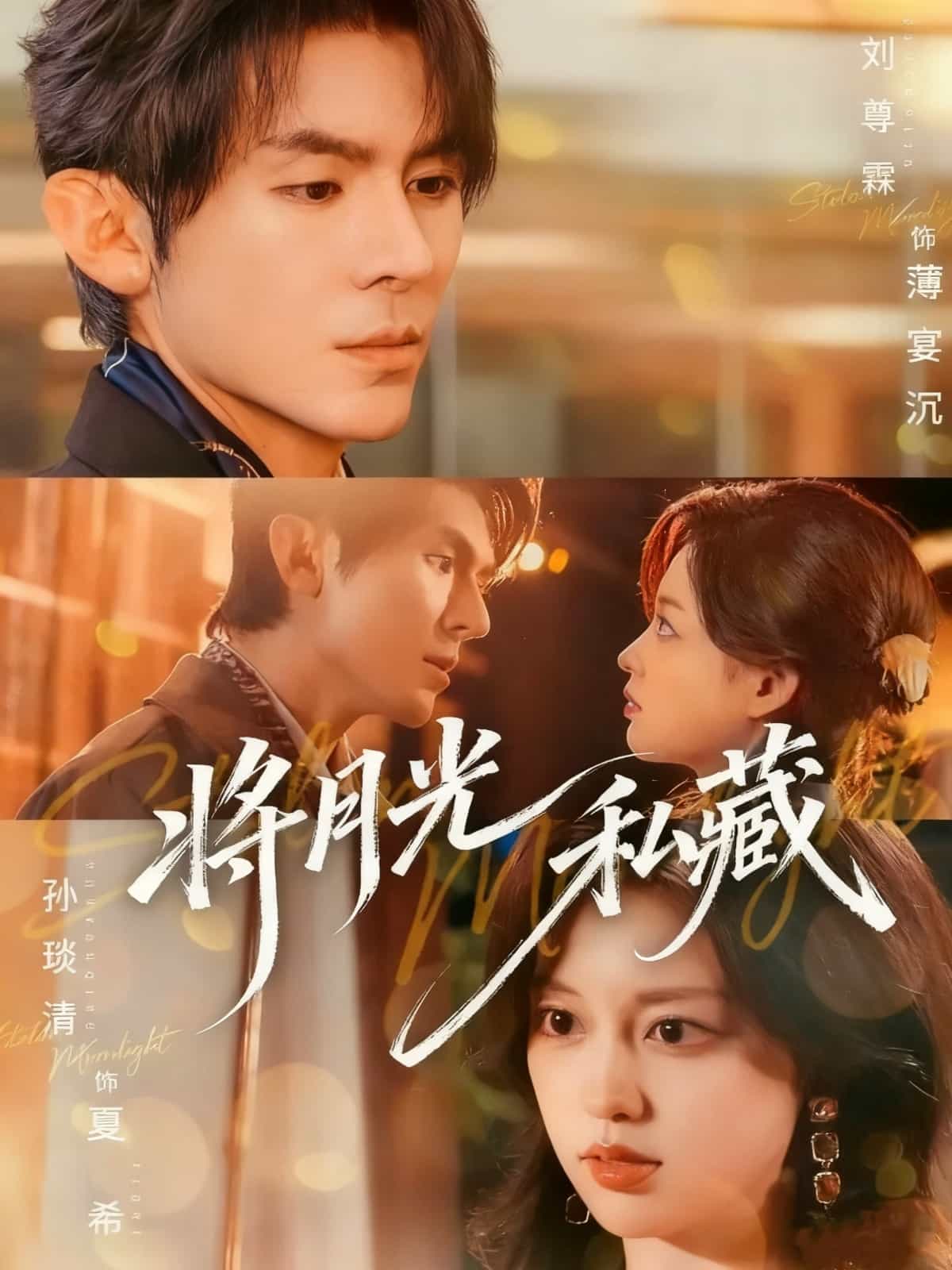 将月光私藏 高清封面