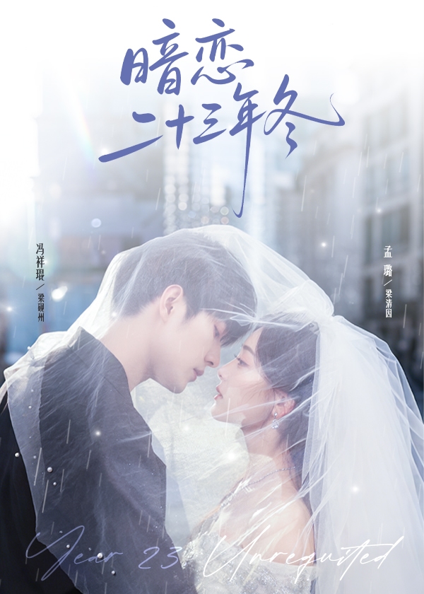 暗恋二十三年冬 高清封面