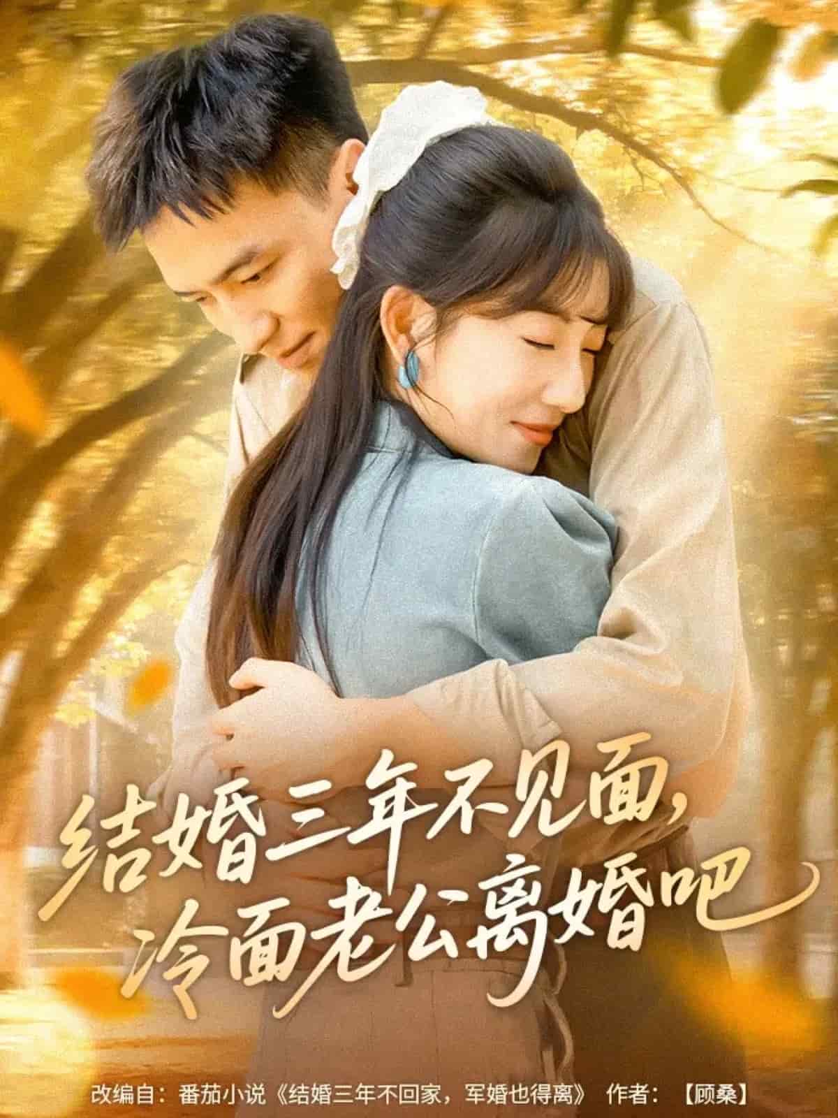 结婚三年不见面，冷面老公离婚吧 高清封面