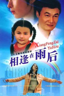 相逢在雨后 封面