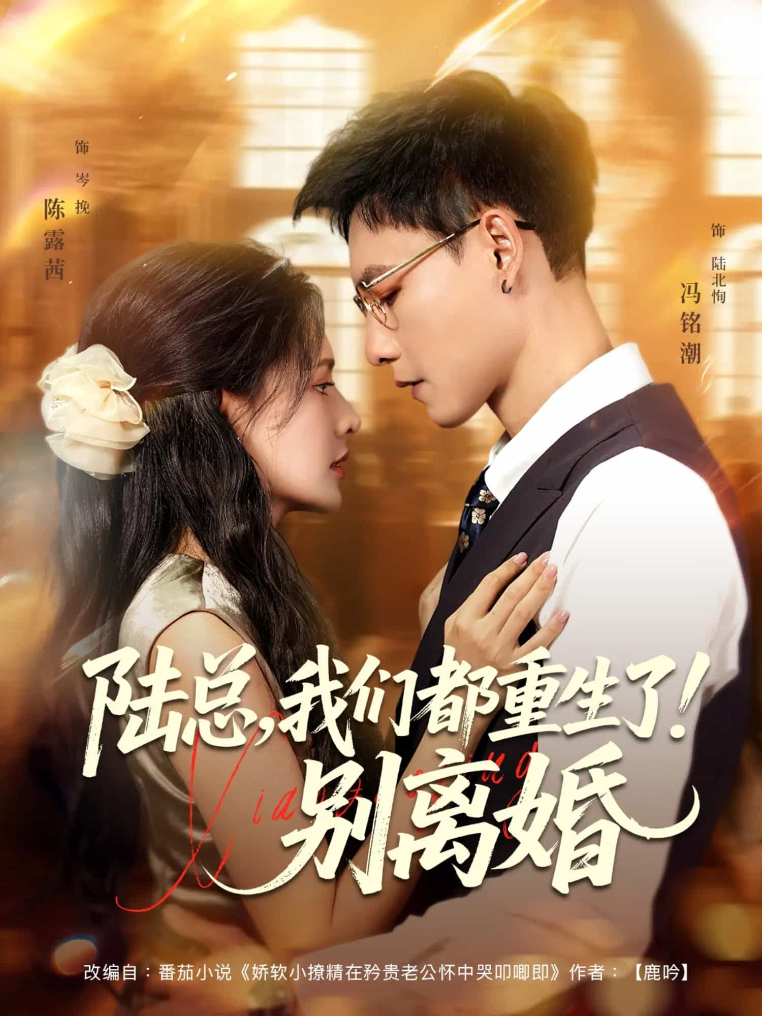 陆总我们都重生了别离婚 高清封面