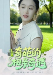 奇葩的相亲奇遇 高清封面