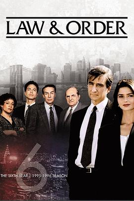 法律与秩序第六季 封面