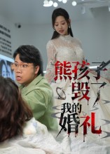 熊孩子毁了我的婚礼 高清封面