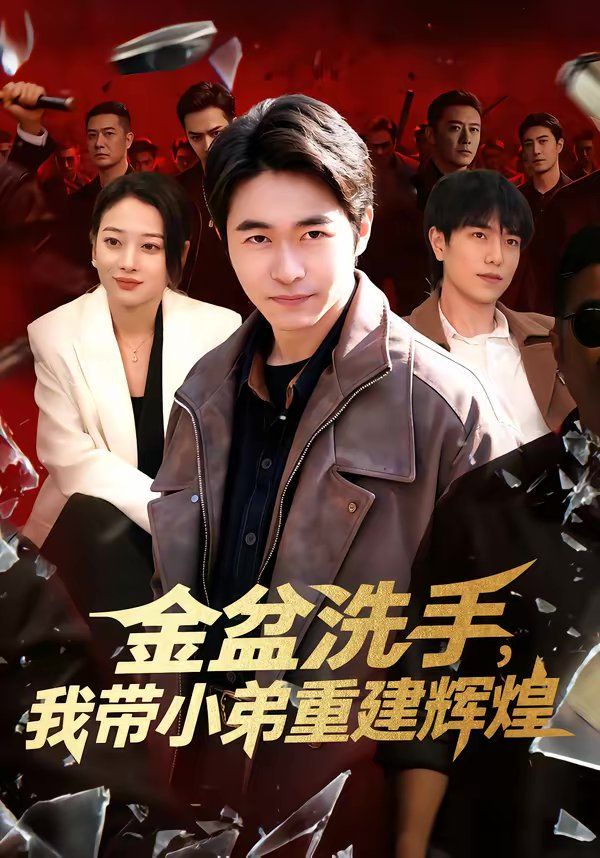 金盆洗手，我带小弟重建辉煌 高清封面