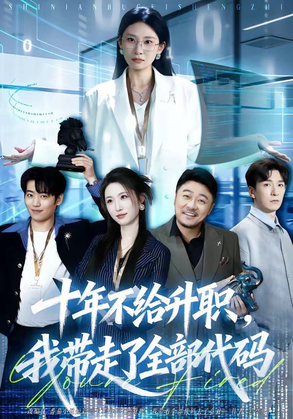 十年不给升职，我带走了全部代码 高清封面