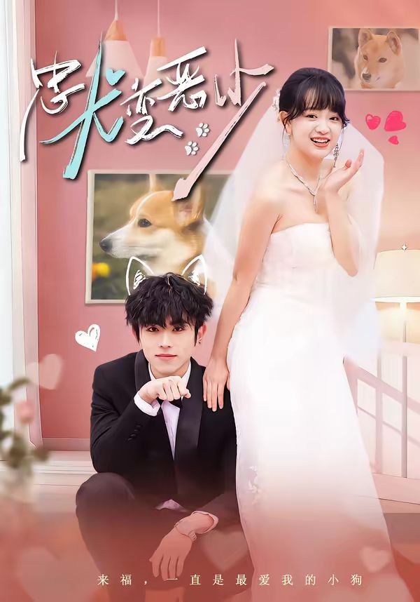 忠犬变恶少（惊！我家来福变恶少了） 高清封面