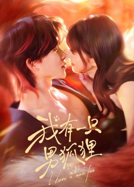 我有一只男狐狸 高清封面