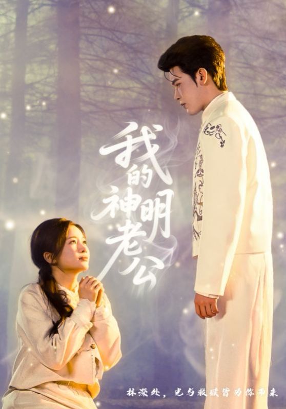 我的神明老公 高清封面
