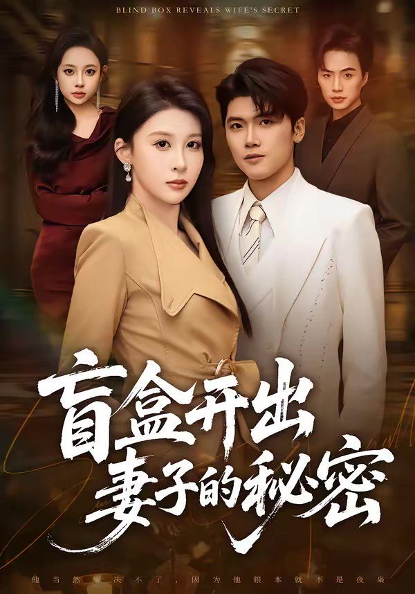 盲盒开出妻子的秘密 高清封面