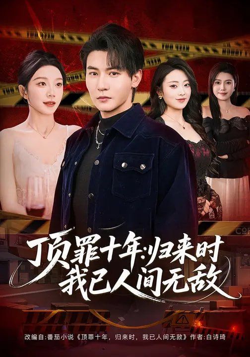 顶罪十年：归来时我已人间无敌 封面