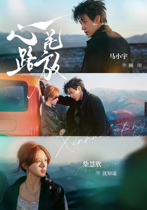 心花路放（2026） 高清封面