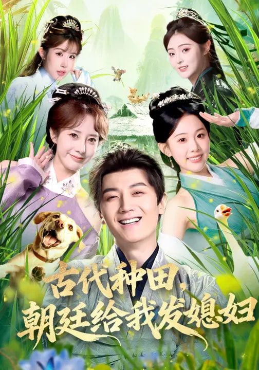 古代种田，朝廷给我发媳妇 高清封面