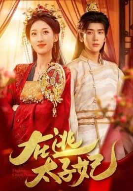 在逃太子妃 高清封面