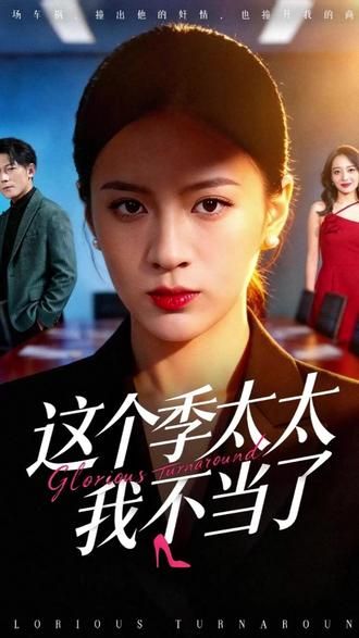 这个季太太我不当了 高清封面