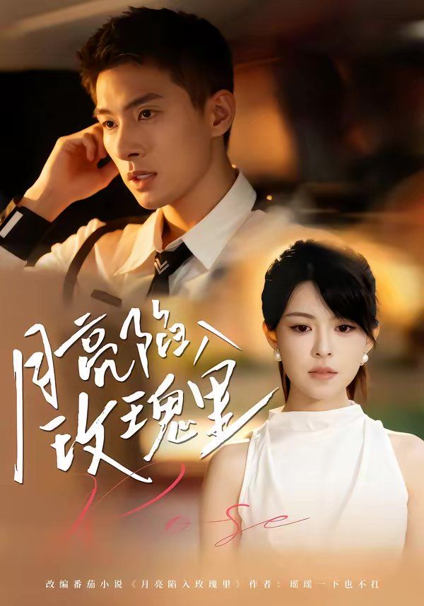 月亮陷入玫瑰里 封面