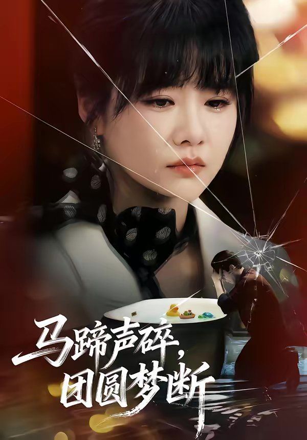 马蹄声碎，团圆梦断 封面