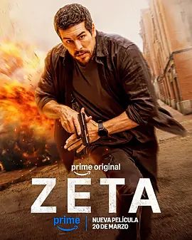 谍杀风暴 高清封面