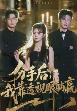 分手后，我靠透视眼躺赢 高清封面
