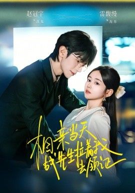 相亲当天战先生拉着我去领证 封面