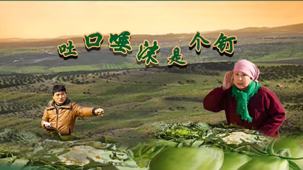 吐口唾沫是个钉 封面