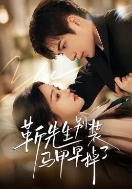 靳先生别装马甲早掉了 封面