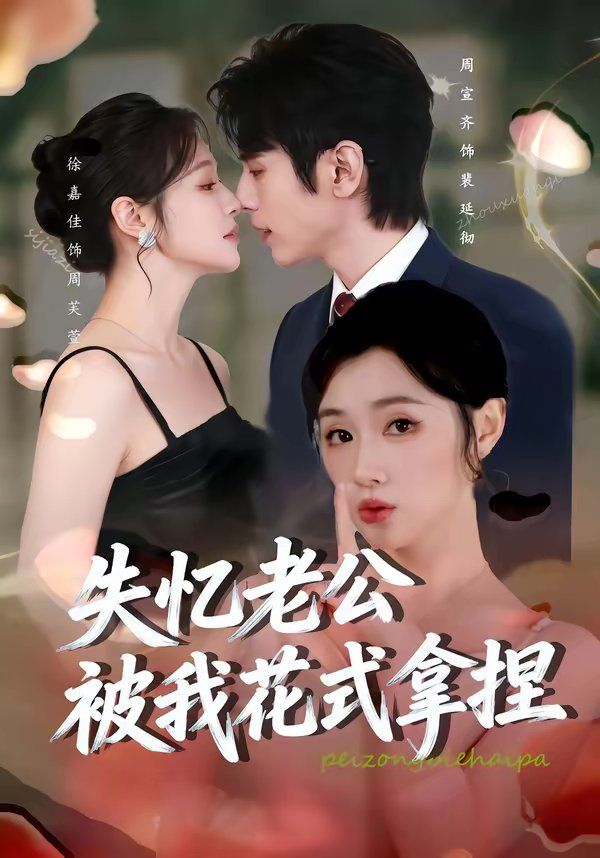 失忆老公被我花式拿捏 高清封面