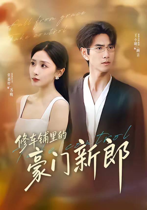 修车铺里的豪门新郎 封面