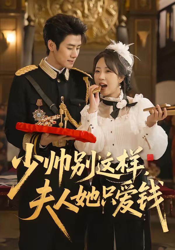 少帅别这样，夫人她只爱钱 封面