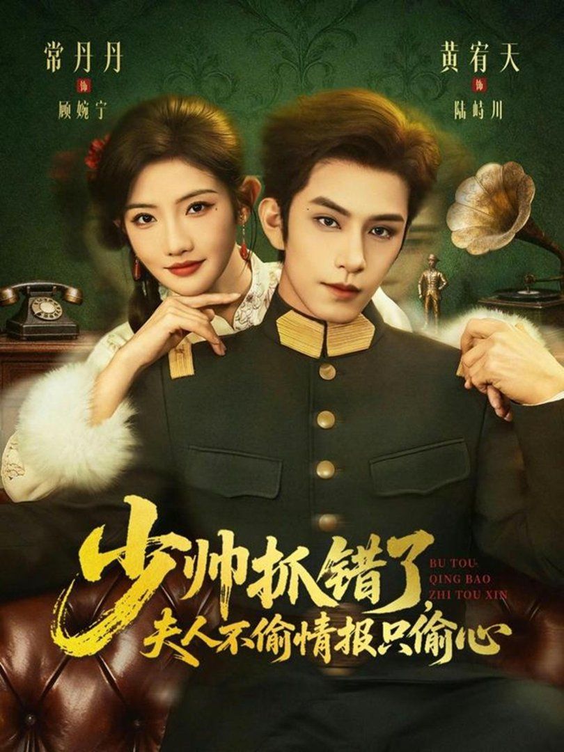 少帅抓错了，夫人不偷情报只偷心 封面