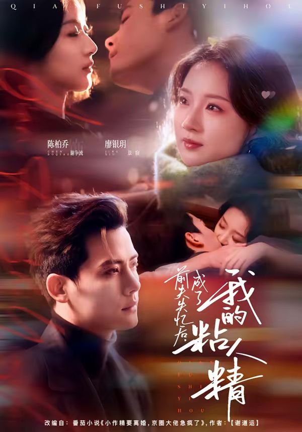 前夫失忆后，成了我的粘人精 高清封面