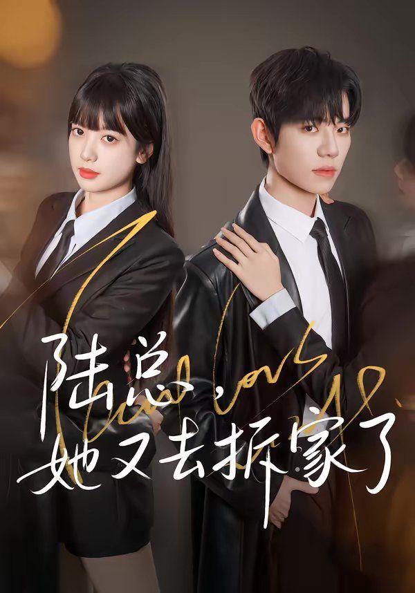 陆总，她又去拆家了 高清封面