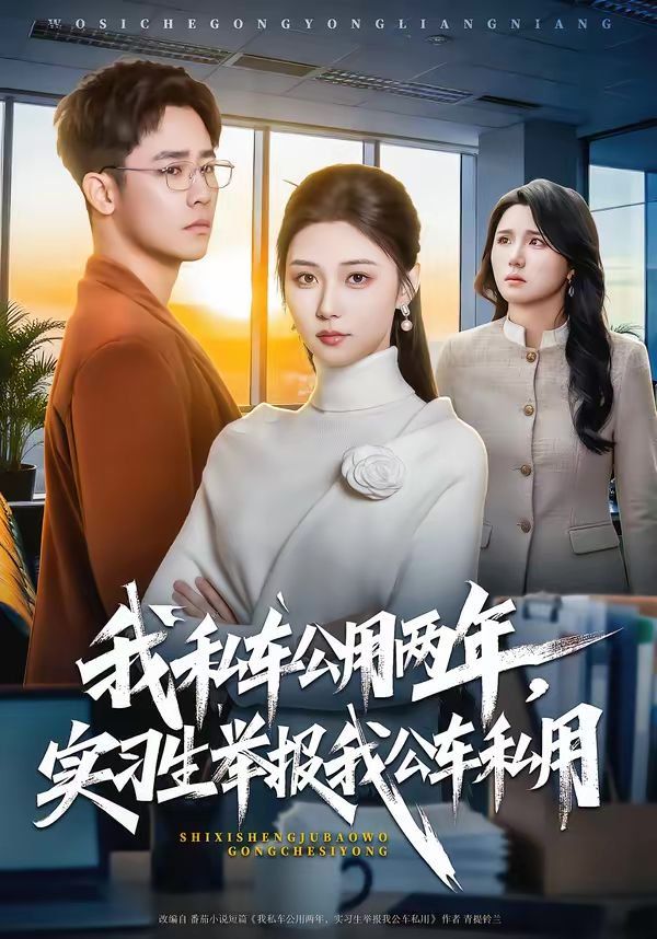 我私车公用两年，实习生举报我公车私用 高清封面