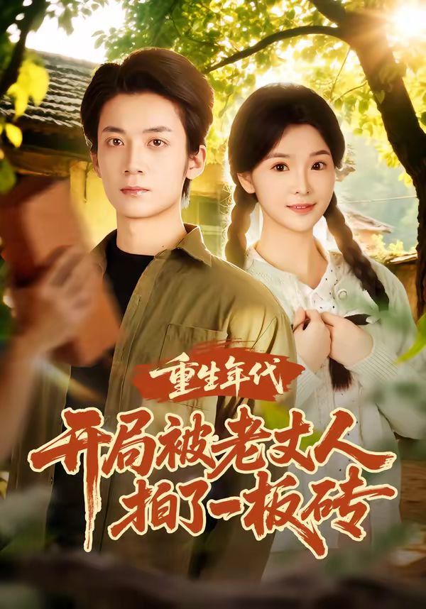 重生年代开局被老丈人拍了一板砖 高清封面